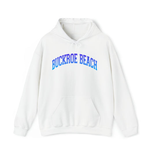 Buckroe Beach (hoodie)