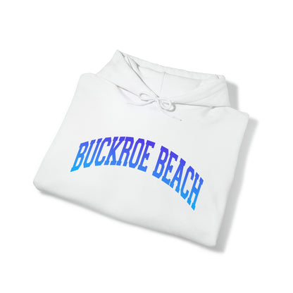 Buckroe Beach (hoodie)