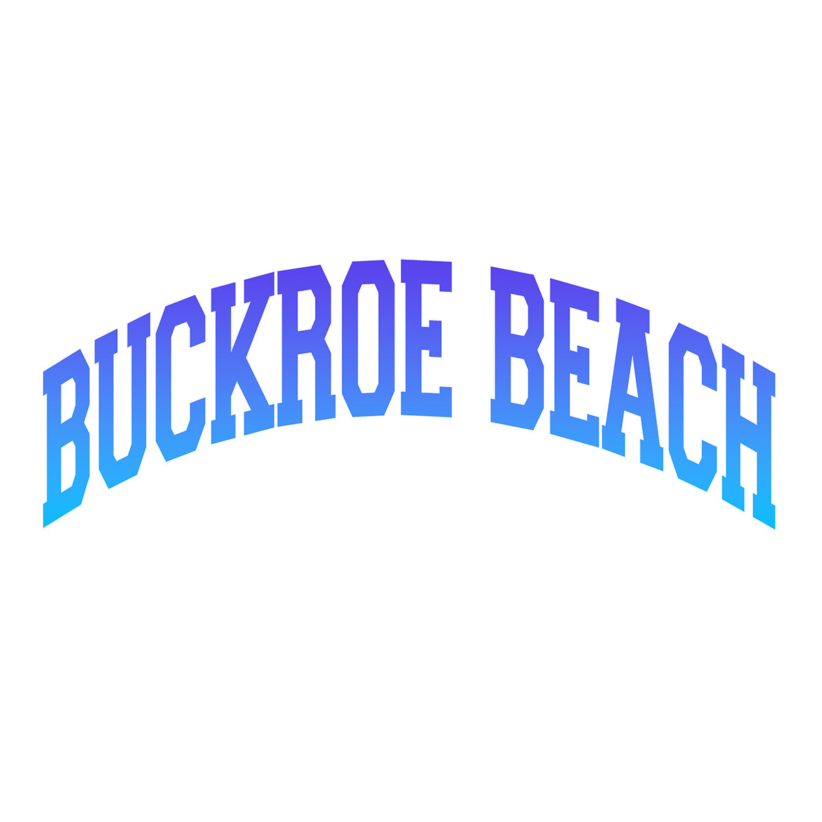 Buckroe Beach (performance tee)